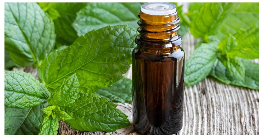 How To Use Patchouli Oil As Perfume
